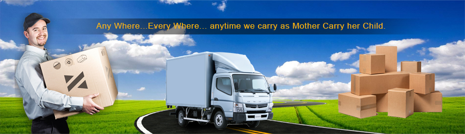 DTDC Movers and Packers DTDC Movers and Packers - Pune